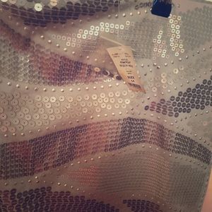 Silver Sequin Skirt